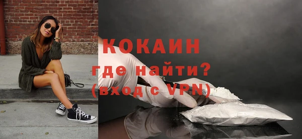 твердый Арсеньев