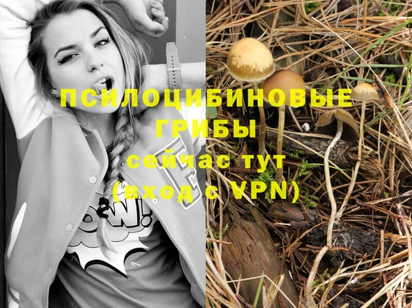 твердый Арсеньев