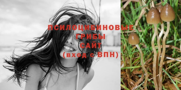 твердый Арсеньев