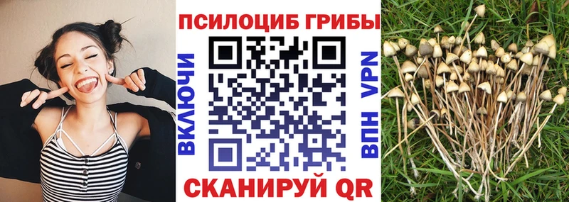ОМГ ОМГ онион Бокситогорск маркетплейс как зайти Галлюциногенные грибы Psilocybe